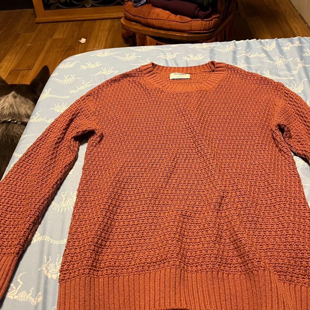 Old Navy women’s Brick Crewneck Sweater